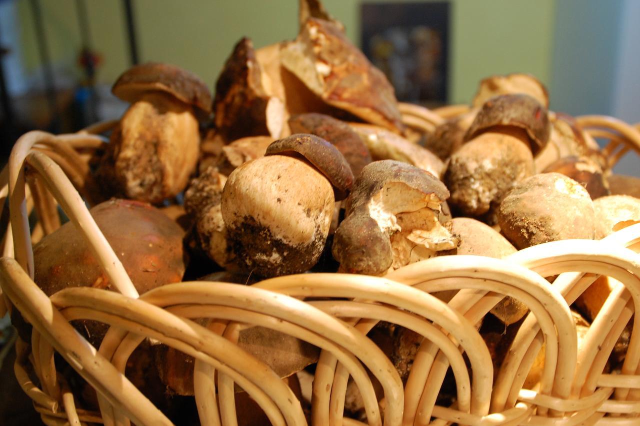 Rifugio Casello Margherita Camigliatello Silano Ngoại thất bức ảnh