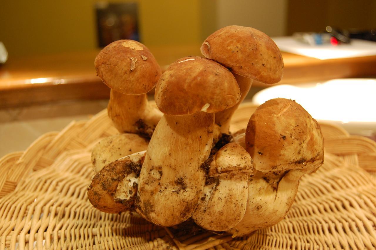 Rifugio Casello Margherita Camigliatello Silano Ngoại thất bức ảnh